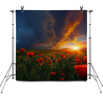 Legends Of Poppy Fields Fleece Backdrop