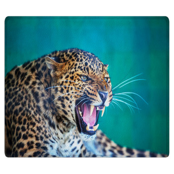 Leopard Area Rug