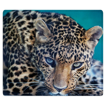 Leopard Area Rug