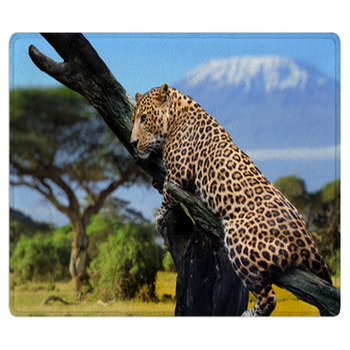 Leopard Area Rug