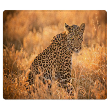 Leopard At Sunset Bath Mat
