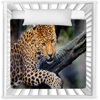 Leopard Baby Crib Comforter