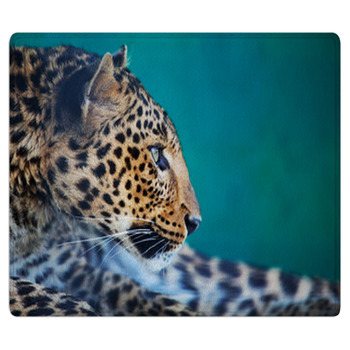 Leopard Bath Mat