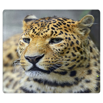 Leopard Bath Mat