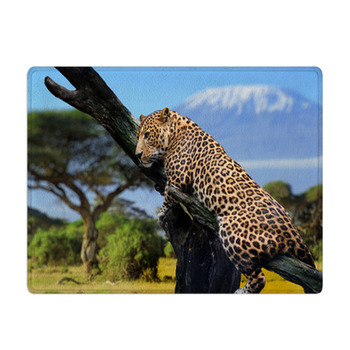 Leopard Bath Mat