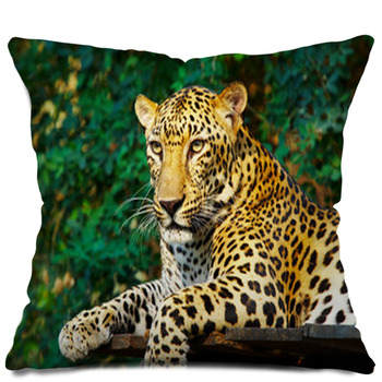 Leopard Throw Pillows Cases Shams