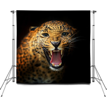 Leopard Custom Size Backdrop