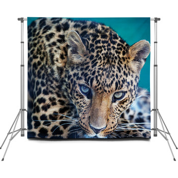 Leopard Custom Size Backdrop