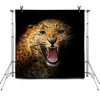 Leopard Fleece Backdrop