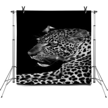 Leopard Fleece Backdrop