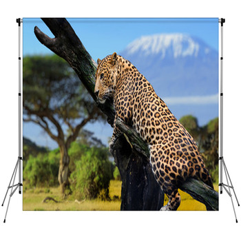 Leopard Fleece Backdrop