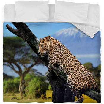 Leopard Fleece Bed Blanket