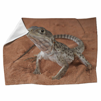 Leopard Lizard / Gambelia Wislizenii Fleece Blanket