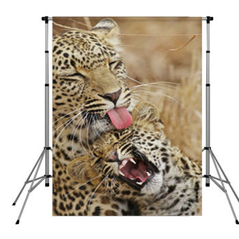 Leopard Nurture  Baby Pole Pocket Backdrop
