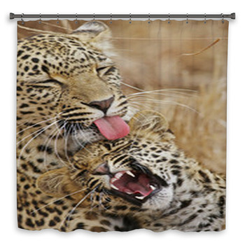Leopard Nurture  Baby Shower Curtain