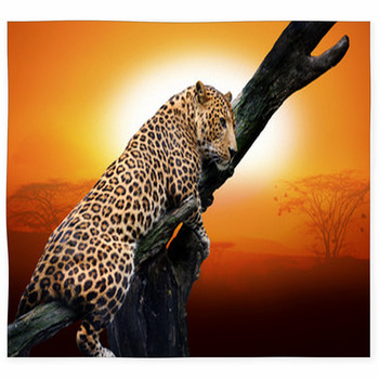 Leopard On A Branch With Desert Custom Size Floor Mat