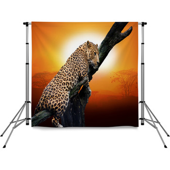 Leopard On A Branch With Desert Pole Pocket Backdrop