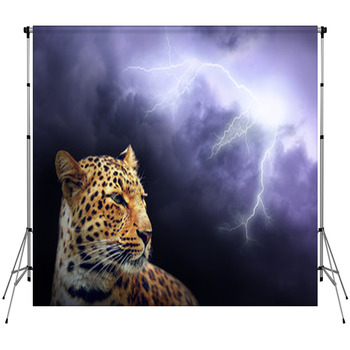 Leopard  On The Dark Sky With Custom Size Backdrop