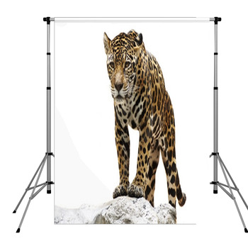 Leopard On The Rock Pole Pocket Backdrop