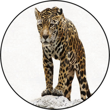 Leopard On The Rock Round Rug