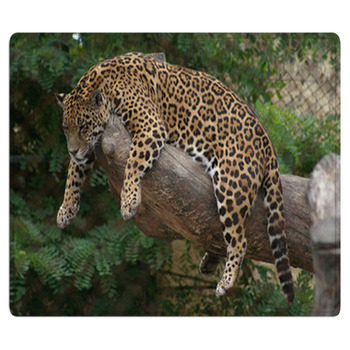 Léopard Perché Bath Mat