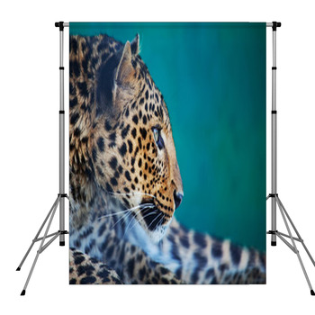 Leopard Pole Pocket Backdrop