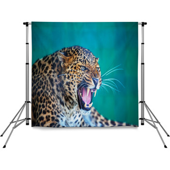 Leopard Pole Pocket Backdrop