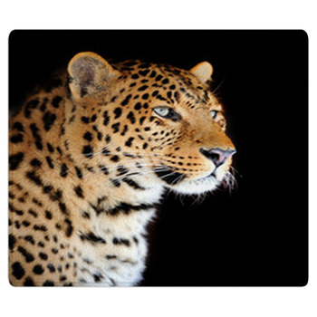 Leopard Portrait Area Rug