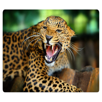 Leopard Portrait Bath Mat