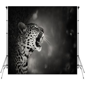 Leopard Portrait Custom Size Backdrop