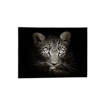 Leopard Portrait In Toned B&w Area Rug