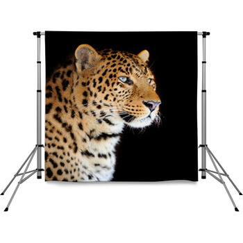 Leopard Portrait Pole Pocket Backdrop
