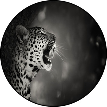 Leopard Portrait Round Rug