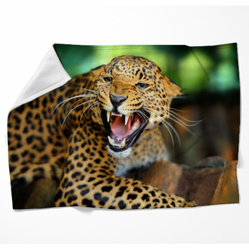 Leopard Portrait Woven Throw Blanket
