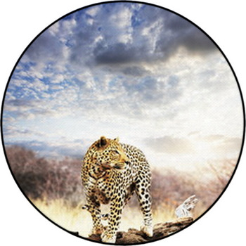 Leopard Round Rug