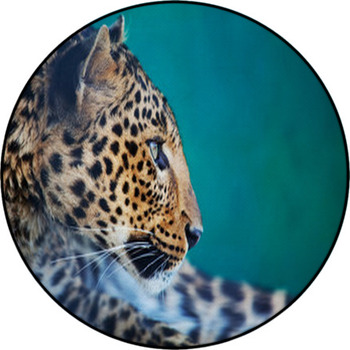 Leopard Round Rug