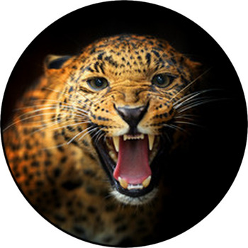 Leopard Round Rug