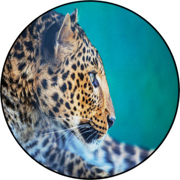 Leopard Round Rug