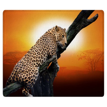 Leopard Rugs