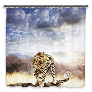 Leopard Shower Curtain