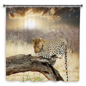 Leopard Shower Curtain