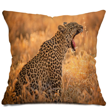 Leopard Throw Pillows Cases Shams