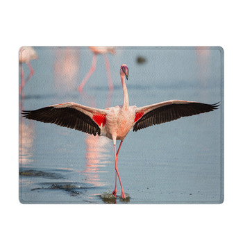 Lesser Flamingo With Open Wings Phoeniconaias Bath Mat
