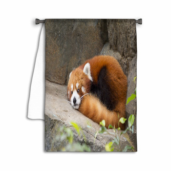 Lesser panda red panda Towel