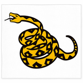 Libertarian Rattlesnake Flag Custom Size Floor Mat