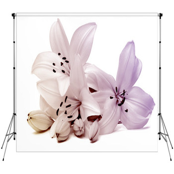 Lily Fleece Backdrop