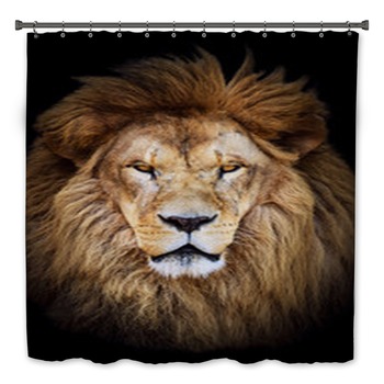 Lion Bath Decor