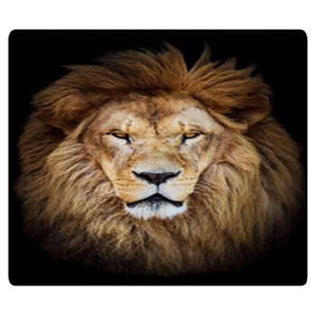 Lion Rugs