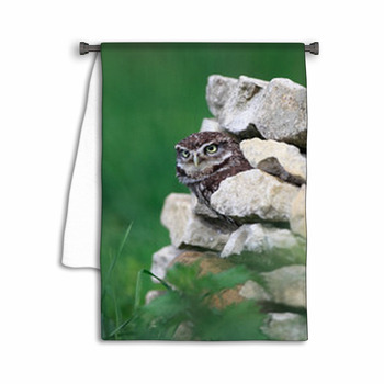 Little Owl Towel