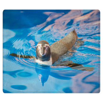 Little Penguin Swimming In Blue Water. Bath Mat